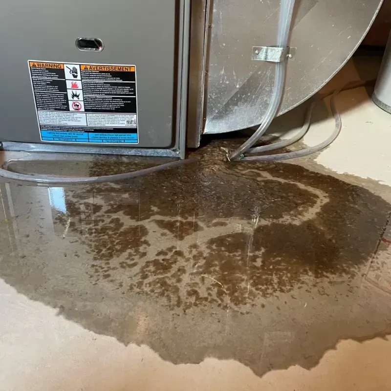 Appliance Leak Cleanup in Spanish Springs, NV